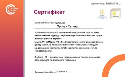 Денні центри та кризові кімнати (модулі 4–5)